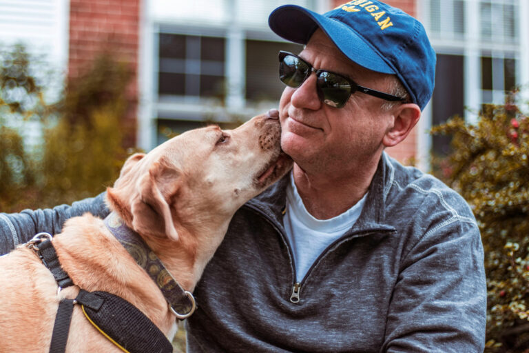 Find Your Furry Companion